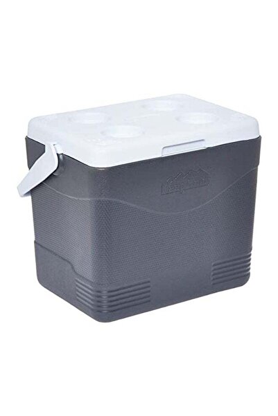 Cosmoplast Durable BPA-Free Picnic Ice Box with Handle Grey 24 L