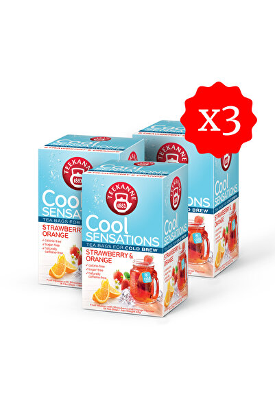 teekanne Çilek ve Portakal Aromalı Soğuk Bitki Çayı x 3 ADET