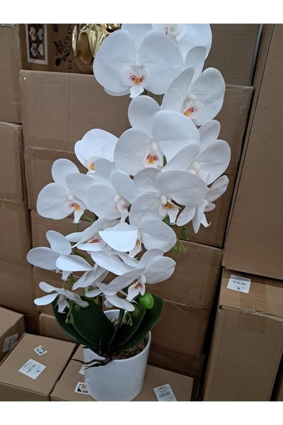 Abasic Artificial flowers in ceramic pot orchid wei a-80811b