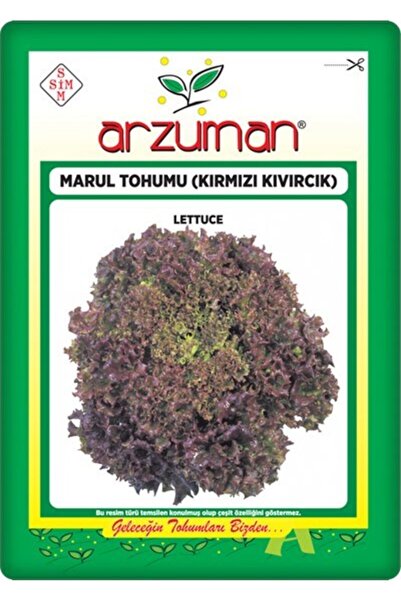 Arzuman Kırmızı Marul Tohumu (Kırmızı Kıvırcık) 3 gr
