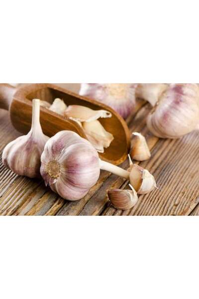 Garlic ثوم تايلاندي 100 كبسولة تركيز 3500 ميكروجرام أليسين
