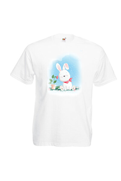 Fruit of the loom Men's Easter colorful t-shirt