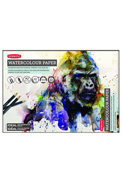 Derwent Bloc de desen A2 300g 12 coli pe bază de apă profesional