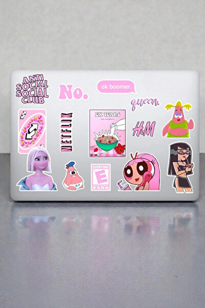 Major Selection Pretty Girl Aesthetic Sticker Set 15 Pieces Pink Design