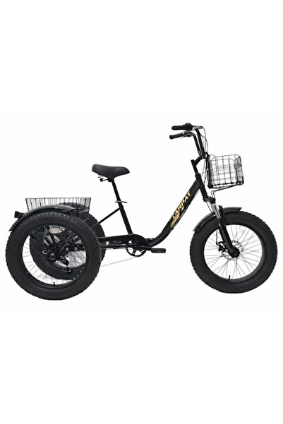 Carpat Tricycle with 20*4.0 Wheels, Shimano Equipment, Front V-Brake/Rear Dru...