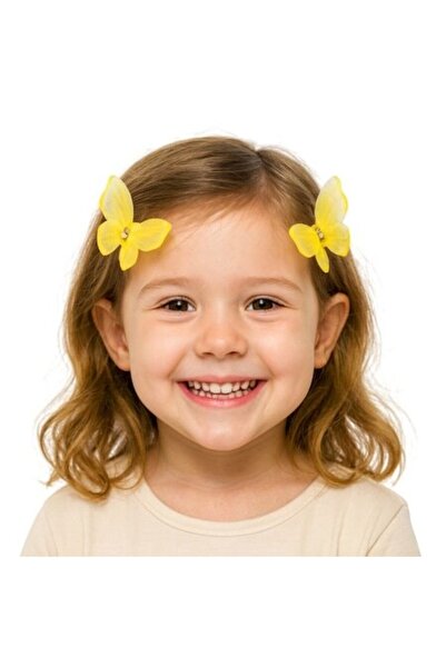 Mixbo Set of 2 Hair Clips Butterfly Model Multicolor Textile