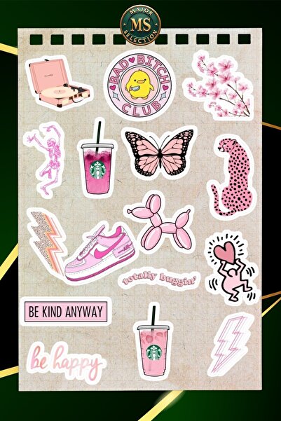 Major Selection Pink Themed Aesthetic Sticker Set |   16 Trendy Designs
