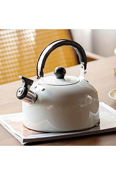 Allians Paslanmaz Çelik Düdüklü Kettle, Su Isıtıcı ve Çaydanlık