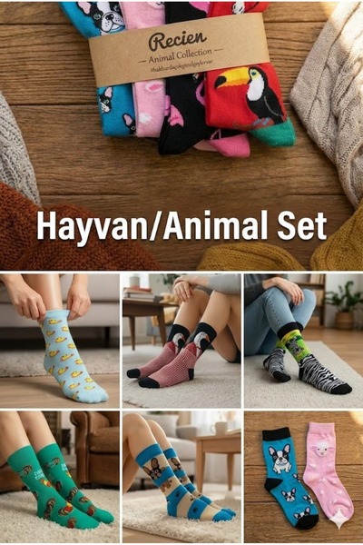 CANMODA مجموعة ريسين أنيمال - مجموعة من 5 جوارب ملونة بأشكال حيوانات متنوعة