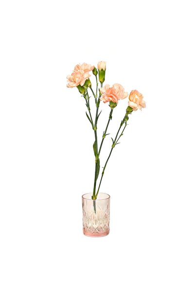 Missi Flora Design-Minimal Pink Cut Glass Vase