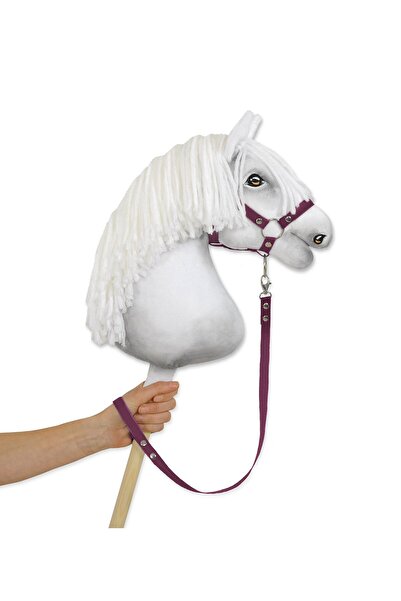 Other Chingă Hobby Horse - Prună