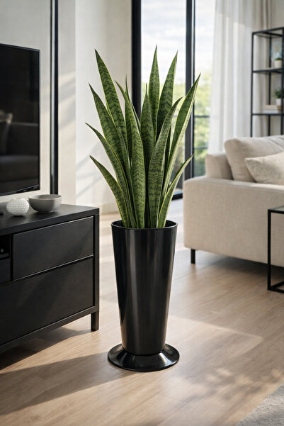 eya garden LIVA Slim Ayaklı Dekoratif Saksı - Siyah