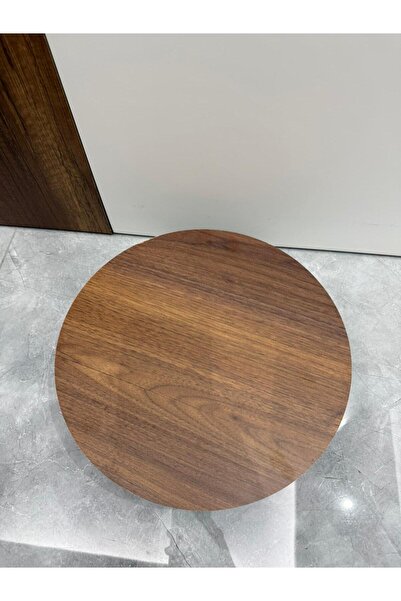 ARKITEKT EX MDF Tekerlekli Damacana, Saksı ve Tüp Taşıma Aparatı – 31,5 cm, 8...