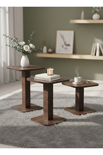Living Set of 3 Service Tables with Modern and Simple Design