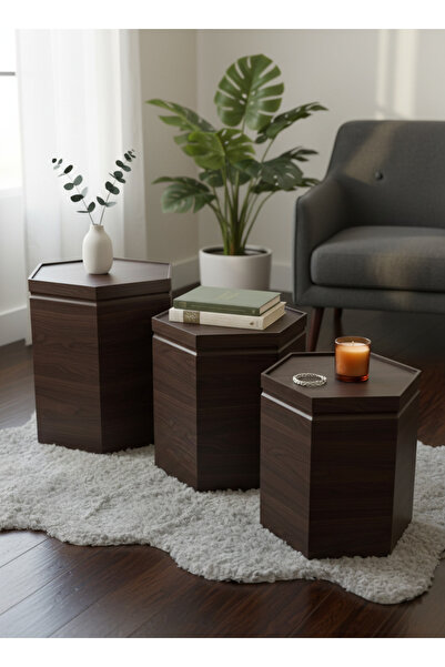 Living Set of 3 Nesting Tables with a Modern and Elegant Design