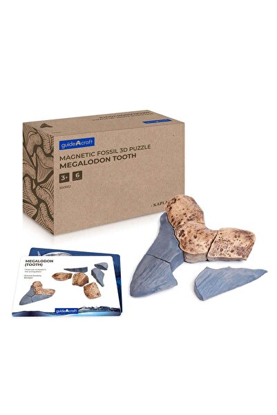 Guidecraft Dinte Megalodon, set magnetic 3D, Guidecraft, copii varsta 5+ ani