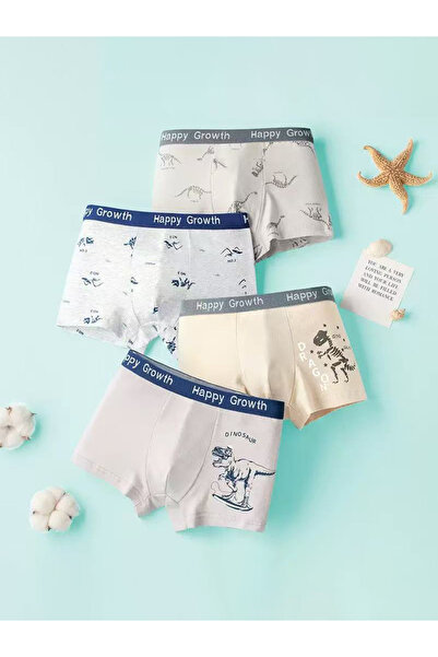 Styli Pack of 4 - Boys Printed Cotton Boxers
