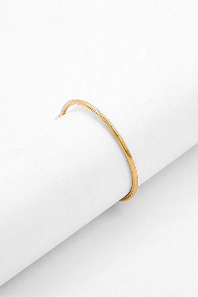 Tommy Hilfiger Men Stainless Steel Bangle, Gold