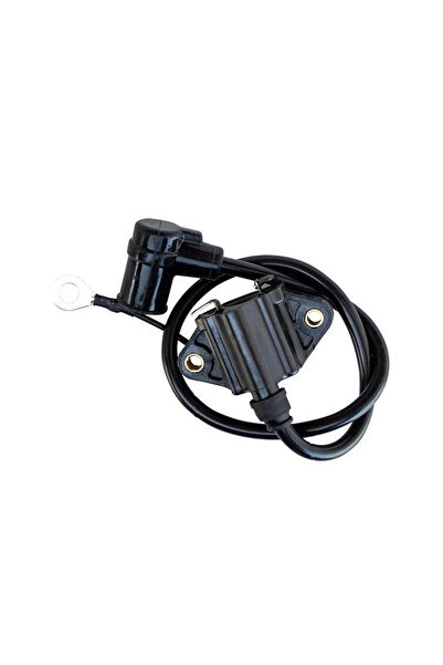 GDM Bobina aprindere distanta intre suruburile de fixare 42 mm, pentru atomiz...