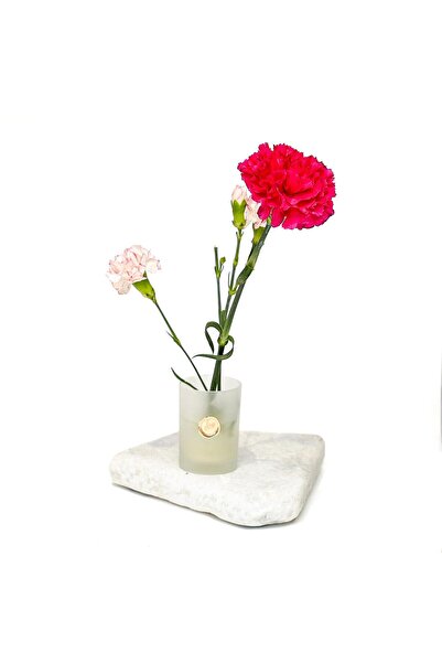 Missi Flora Design-Minimal Frosted Glass Vase