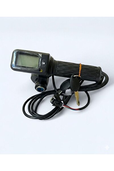 Squirrel Digital electric bicycle handle