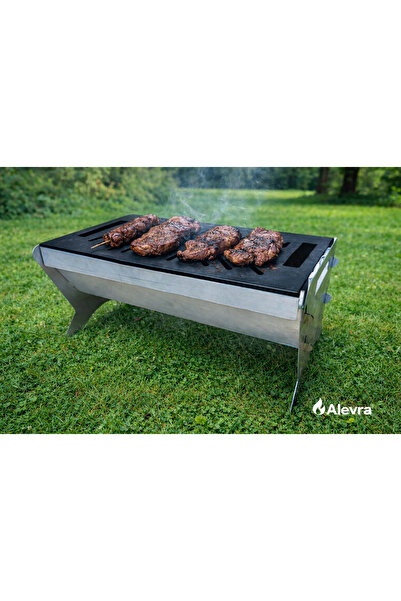 ALEVRA DEMONTE MANGAL,EKONOMİK MODEL,ATEŞ ÇUKURU