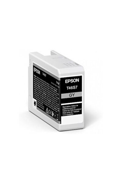 EPSON Φυσίγγιο μελάνης T46S7, 25 ml, γκρι