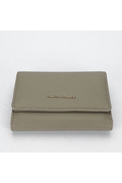 David Jones Portofel Paris B-P151 07 gri deschis