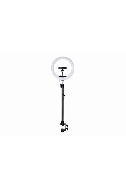KENSINGTON Suport ergonomic A1000