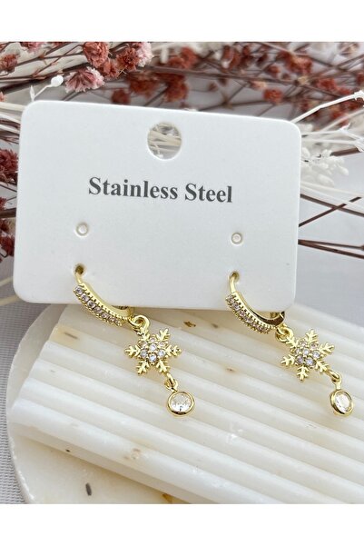AYLAKAYA Steel Earrings
