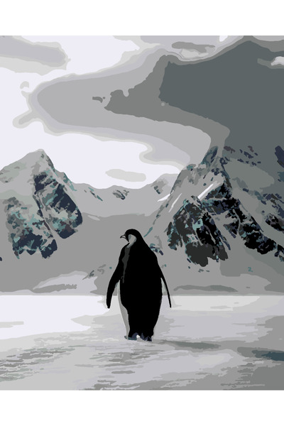 wombhobby nihilist penguenin yolu 4 50x65 cm Çerçeveli (Kasnağa ) Gerili