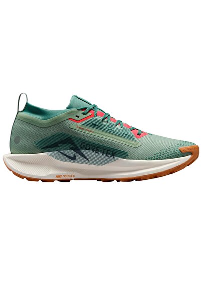 Nike Men's trail running shoes Pegasus Trail 5 GORE-TEX FW 2024-Turquoise/Pin...