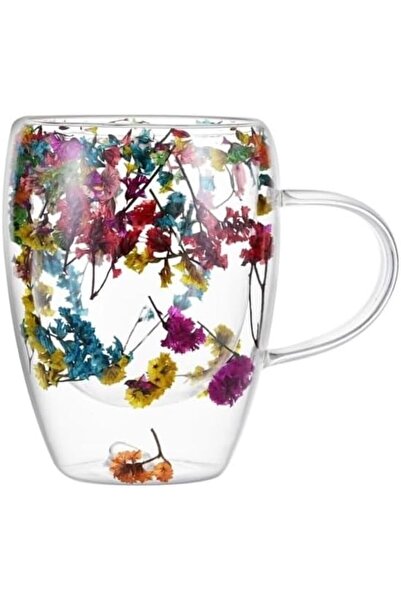 Nacario Nrcrioshop Double Walled Borosilicate Glass, Colorful Dry Flower Desi...