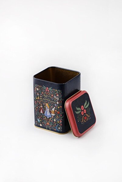 Nacario NrcrioShop حاوية تخزين معدنية مربعة الشكل من أليس منقوش مقاس 11x11 سم...