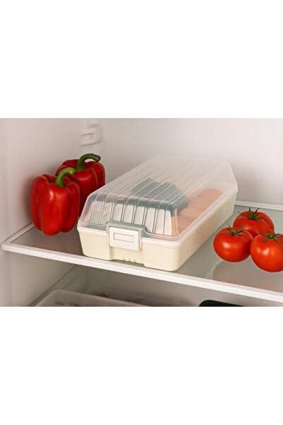 Nacario Nrcrioshop Refrigerator Organizer Box with Transparent Lid |   32X18 ...