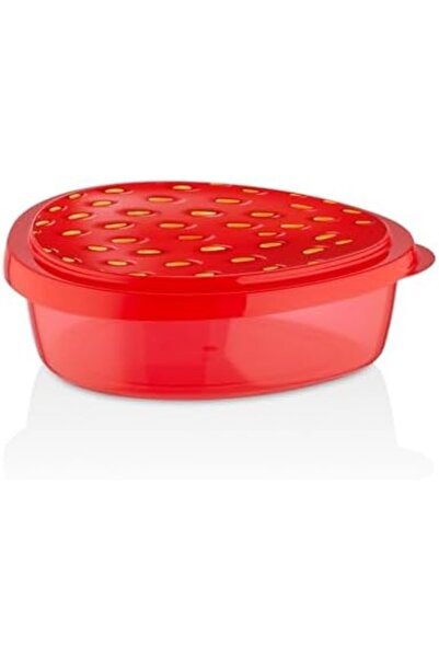 Nacario Nrcrioshop 4-Piece Strawberry Kiwi Watermelon Fruit Patterned Storage...