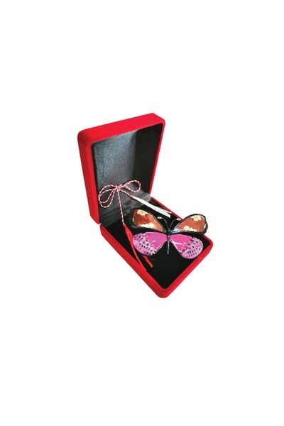 OEM Broșă Mărțișor Fluture, Email Roz, Cutie de Catifea