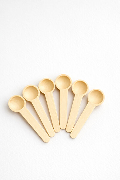 Denia Home 6-Piece Wooden Spice Spoon Set