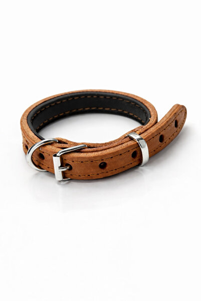Papağanhane Premium 100% Raw Leather Small Breed Dog Collar |   Neoprene Line...