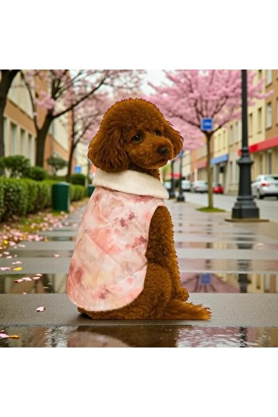 GedyCo سترة ناعمة للكلاب من السلالات الصغيرة مناسبة للربيع ومقاومة للمطر