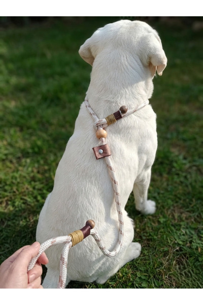 balkonda حزام مشي للكلاب موديل بوغما بقطر 12 سم من حبل إسكوتو