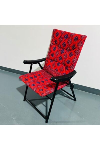 REDROSE COLOR Luxury travel chair with a distinctive design and unparalleled ...