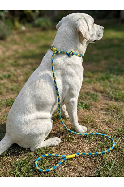 balkonda Dog Walking Leash Collar Model 6 cm Diameter Skotoc Halat