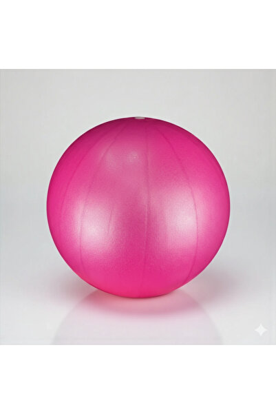 MaxTech Max Tech Profesyonel Pilates Topu - 25 cm Küçük Egzersiz ve Fitness T...