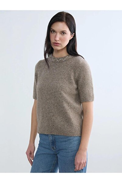 LC Waikiki Brown Crew Neck Stoned Women's Knitwear Sweater (S6)