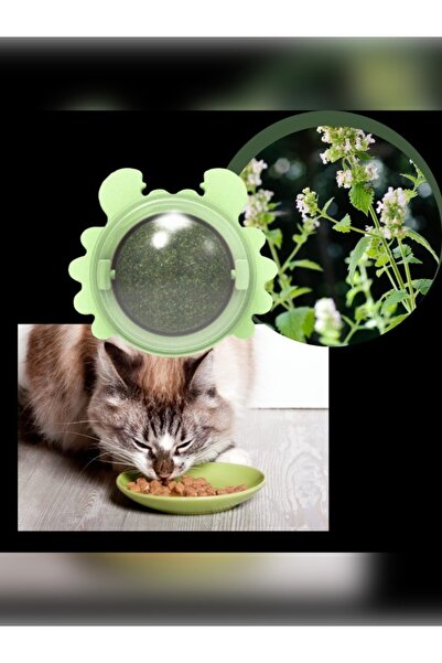 TRENTPET Crab Design Cat Licking Ball |   Game Ball Self Adhesive |   Pure an...