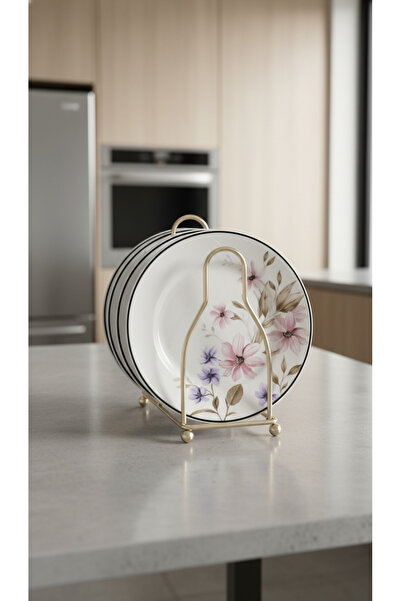 Generic Stylish dish rack set with organized display