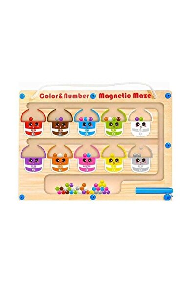 Generic Magnetic Color & Number Maze - Montessori Wooden Toys for 3+ Years Ol...