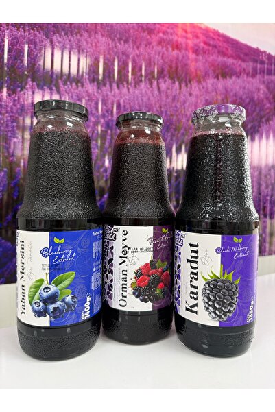 KADİRZADE 3LÜ ÖZ SETİ (KARADUT/YABAN MERSİNİ/ORMAN MEYVELİ)