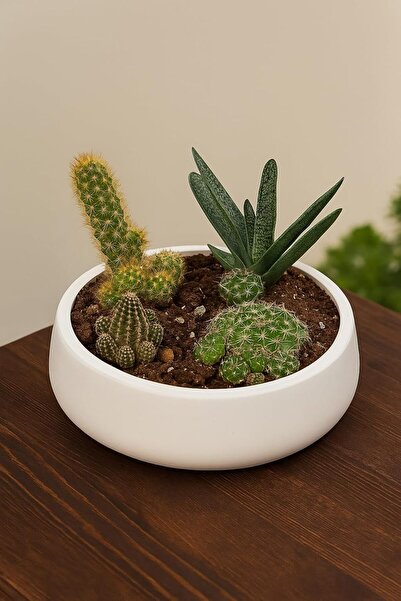 Nacario Nrcrioshop Lumin Modern White Decorative Bowl – Handmade Minimalist D...